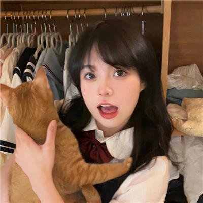 荒野独居第十季