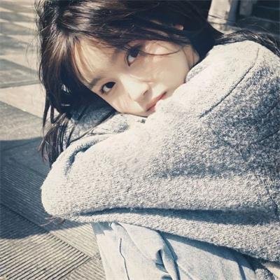 有毛冇翼飞天猪